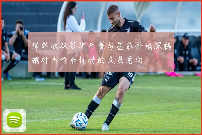 绿军欲双签字母哥与墨菲并试探鹈鹕对杰伦和怀特的交易意向